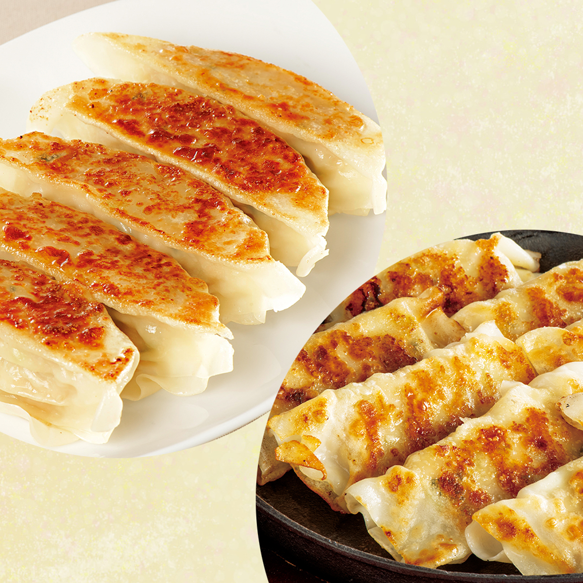 瀬戸内六穀豚使用　餃子食べ比べ