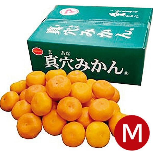 めちゃウマです‼️3箱限定‼️きたーー‼️真穴八寿みかんボリューム約10k6980円3 年内発送間に合います】愛媛県産 JAにしうわ 真穴みかん 約2.8キロ(1.4