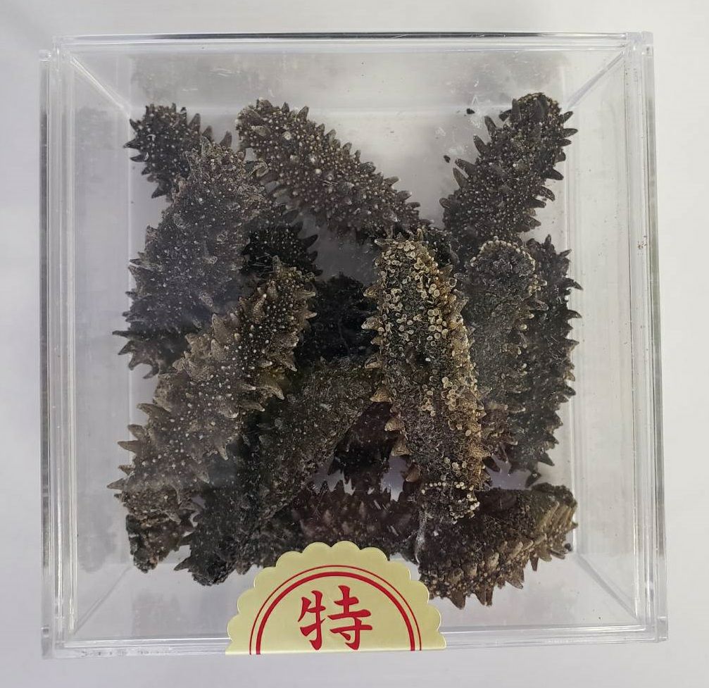 北海道産 干しなまこ | オオゼキオンラインストア