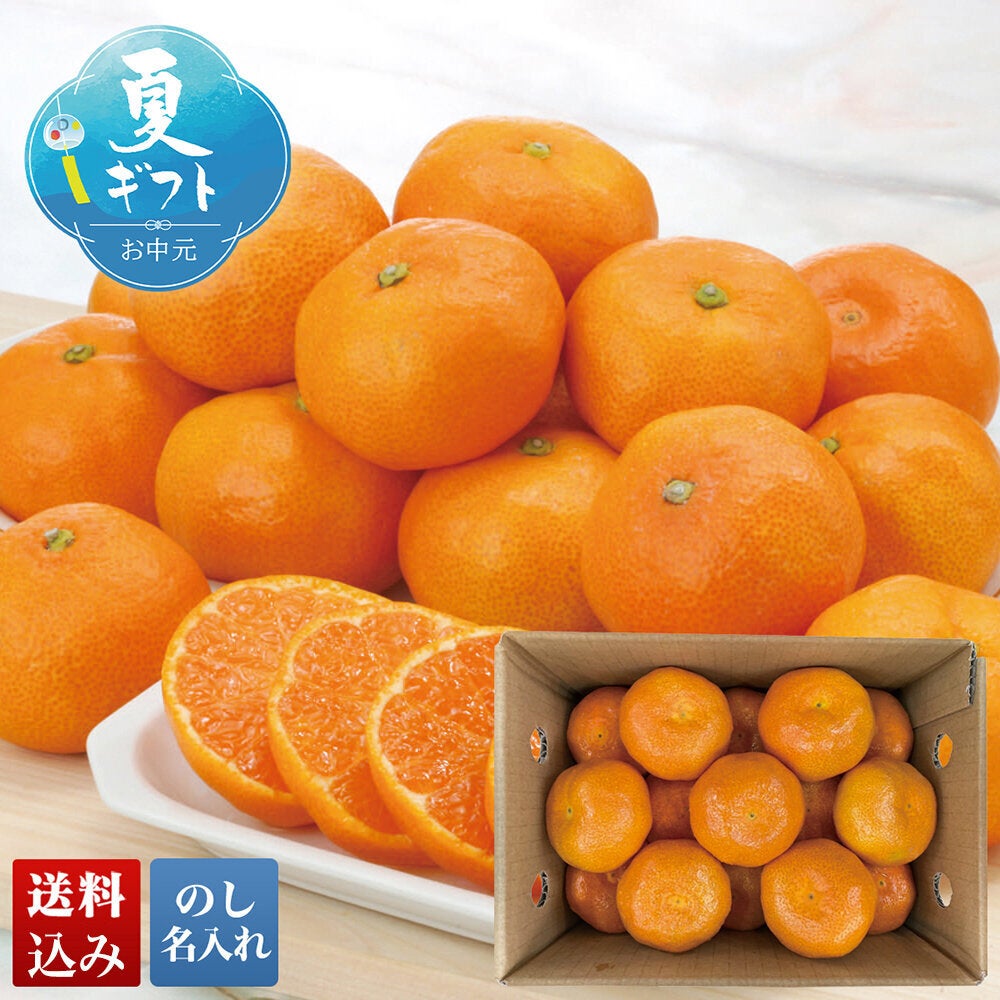 JAからつ ハウスみかん | オオゼキオンラインストア