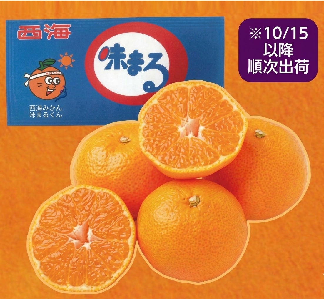 10月15日以降順次出荷】長崎産 味まるみかん 約5kg（1箱） | オオゼキ